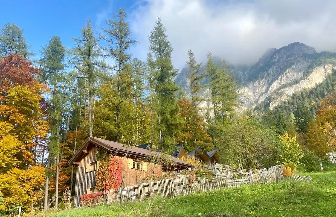 Älmele - Waldchalets Brandnertal-1